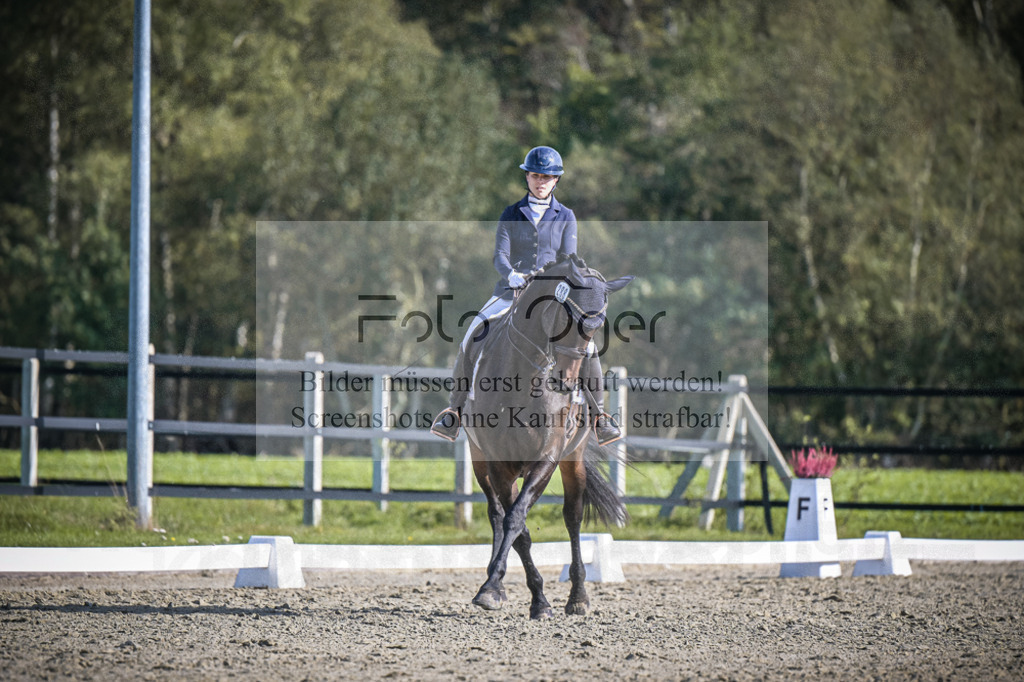 DOS_2669 | Entdecke hochwertige Reitturnierfotos von Foto Oger. Professionell, emotional und authentisch – jetzt Lieblingsmomente im Shop bestellen.Deutschlandweite Turnierfotografie. - Realisiert mit Pictrs.com
