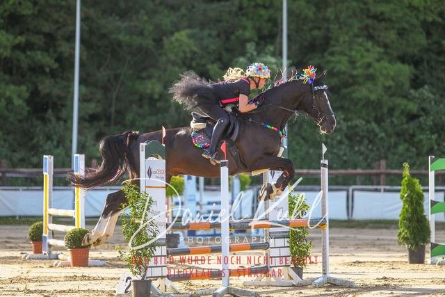 DKP45161 | Turnierfotos kaufen im Webshop von Daniel Kuhl Photography – entdecke professionelle Reitsportfotos aus Turnieren & Events. Hochwertige Turnierbilder online bestellen & sichern. Jetzt Fotos von Reitsportturnieren kaufen!
