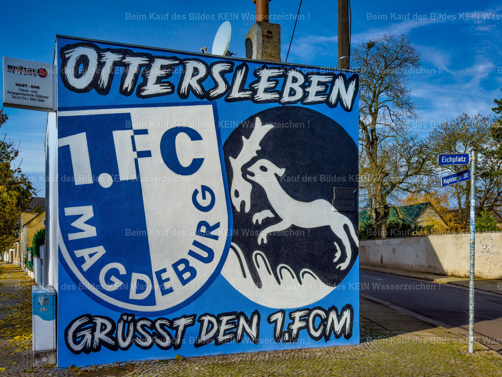 Magdeburg Ottersleben Eichplatz 1. FCM-3949 | Ottersleben Eichplatz Fcm Wand - Realisiert mit Pictrs.com