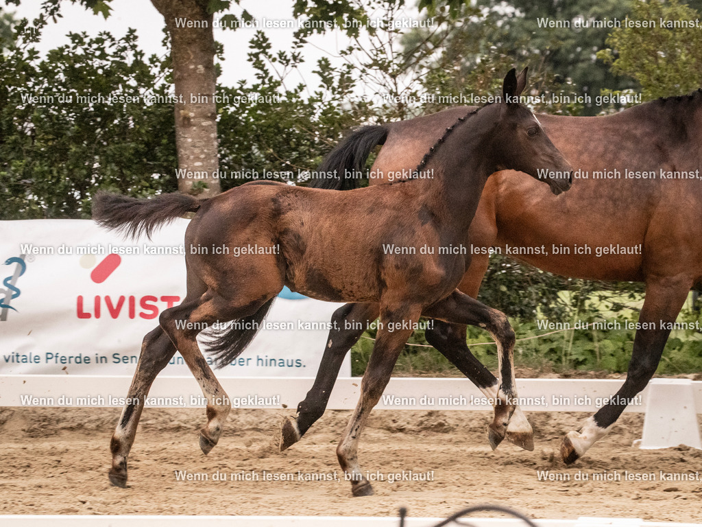 A10I4352 15.58.11 | photographylinaismer - Realisiert mit Pictrs.com