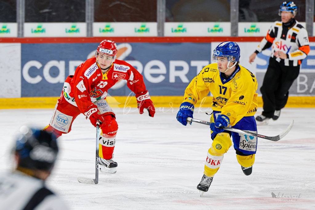 U21_EHCB vs HCD_wb20260308-0188 | Sportbilder, Sportfotograf, Hochzeits- und Eventfotografin, Flugshows, Portraits und Tiershooting, Aviation, Downhill, Nationalleague, Swissleague, International
