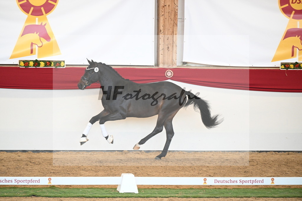 Kat.-Nr. 74 v. Quaterback_Mieleszko-Vekens_2250660 | hf-fotografie - Realisiert mit Pictrs.com