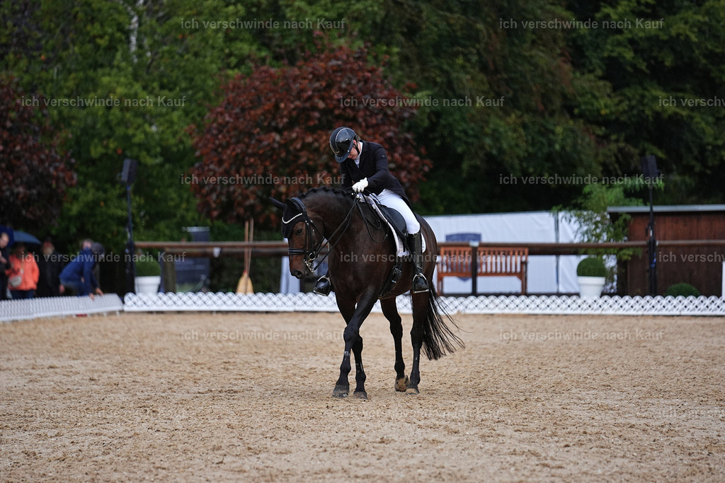 8_2-193-DRESSUR S_  -Marixx-4626 | working equitationturnier fotograf videograf stoibphotography marixx film working equitation deutschland reitsport turnierfotografie eventfotografie equestrian events