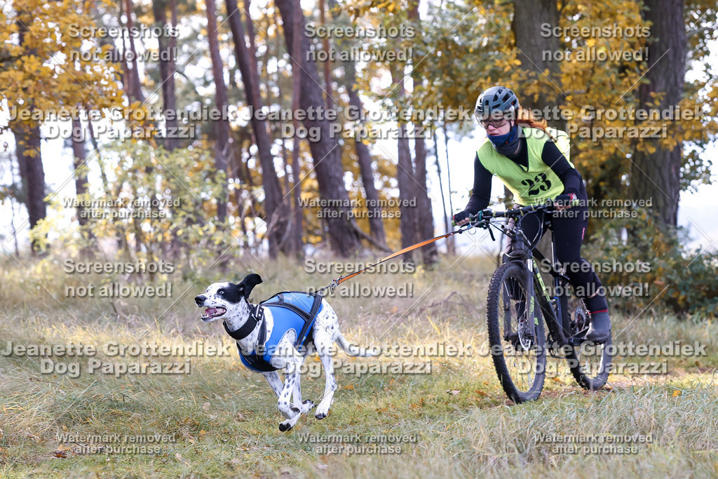 Dog Paparazzi - Elsholz 25 -109 | Dog Paparazzi Jeanette Grottendiek Fotografie & Videografie - Realisiert mit Pictrs.com