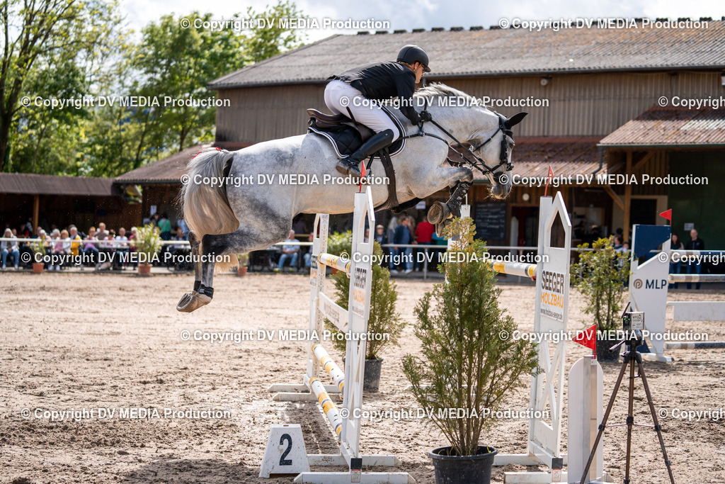 Eppelheim Tag 3-308 | dv-media-shop - Realisiert mit Pictrs.com