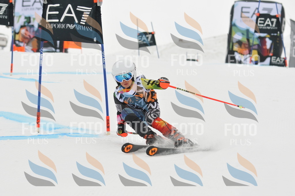 DSC_7501 | holidayphoto