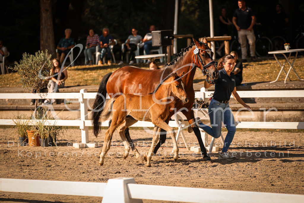 11.DoRP00161 | Leoni Ertmer Photography - Realisiert mit Pictrs.com