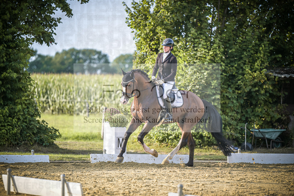 DOS_1726 | Entdecke hochwertige Reitturnierfotos von Foto Oger. Professionell, emotional und authentisch – jetzt Lieblingsmomente im Shop bestellen.Deutschlandweite Turnierfotografie. - Realisiert mit Pictrs.com