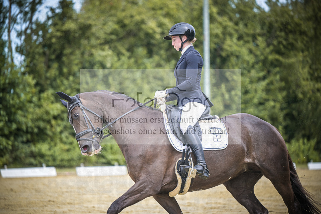 DOS_1608 | Entdecke hochwertige Reitturnierfotos von Foto Oger. Professionell, emotional und authentisch – jetzt Lieblingsmomente im Shop bestellen.Deutschlandweite Turnierfotografie. - Realisiert mit Pictrs.com