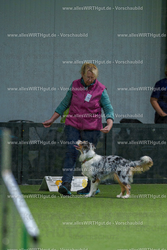 7R509540 | Professionelle Tierfotografie in Mönchengladbach von Daniel Wirth (allesWIRTHgut). Liebevolle & natürliche Bilder von Hunden & Katzen für unvergessliche Erinnerungen.