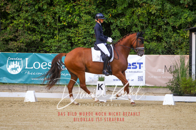 DKP41261 | Turniersportfotografie; Pferdefotografie; Dressurfotografie