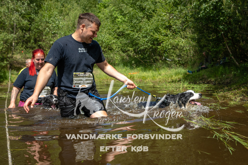 1213DKK992231 | kk-dogfotos