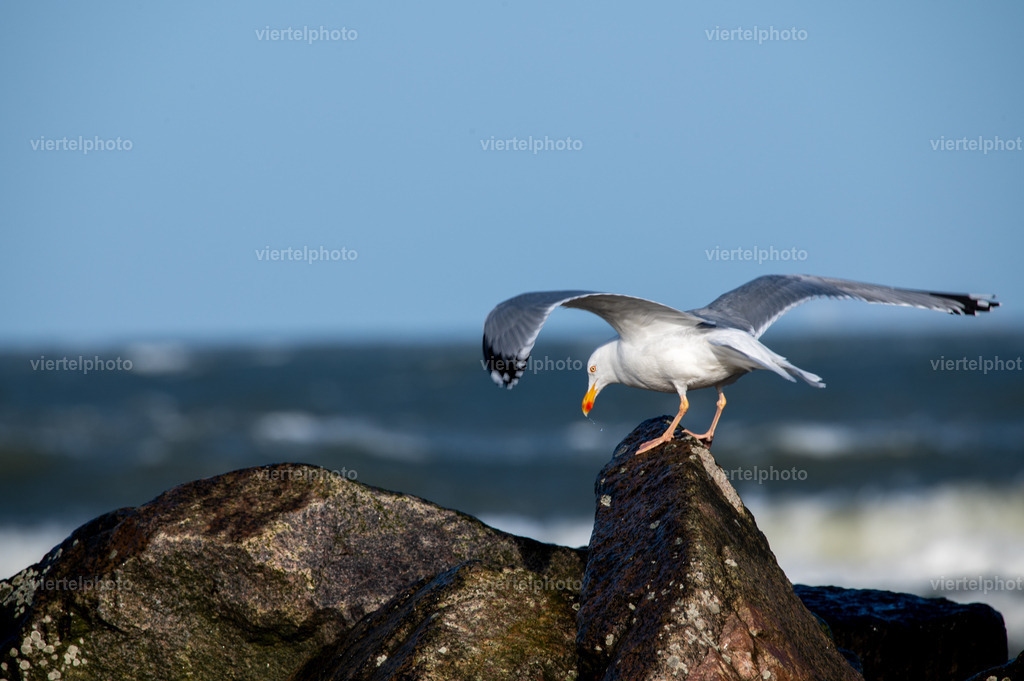 Punktlandung | viertelphoto - Realisiert mit Pictrs.com