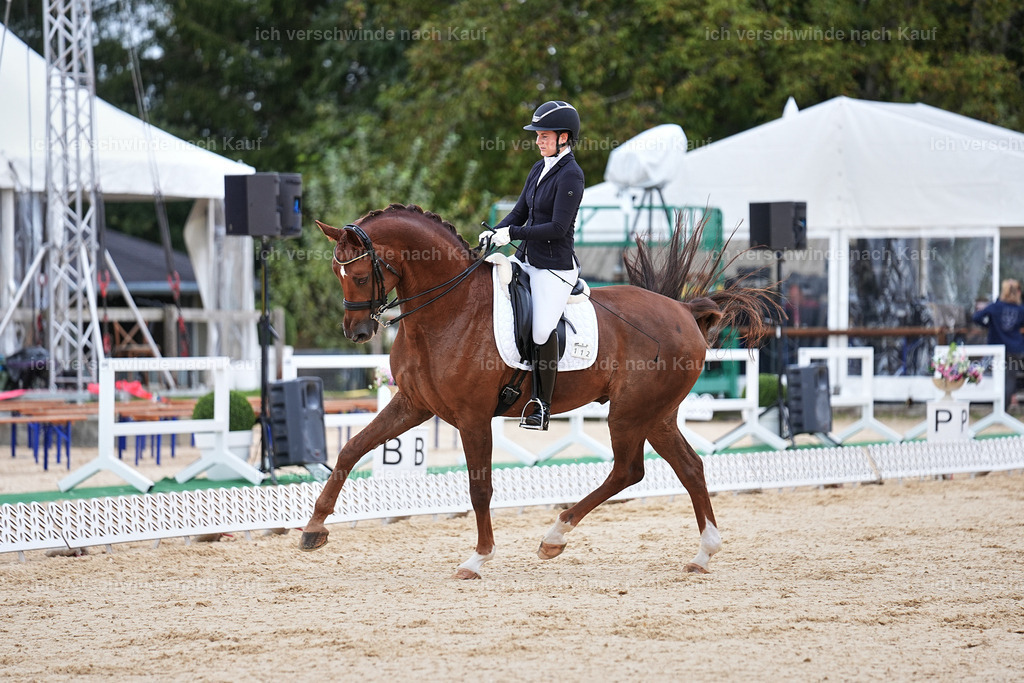 04_1-112-Dressur M__ -Marixx-2737 | working equitationturnier fotograf videograf stoibphotography marixx film working equitation deutschland reitsport turnierfotografie eventfotografie equestrian events