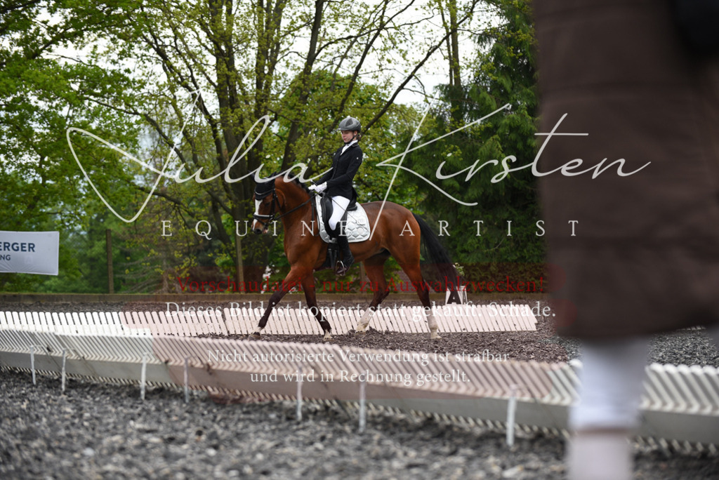 20230513_JK-Röhrsdorf-16-100 | Pferde- und Turnierfotografie in Westsachsen. Pferdeportraits, Auftragszeichnungen und intuitive Kunst.