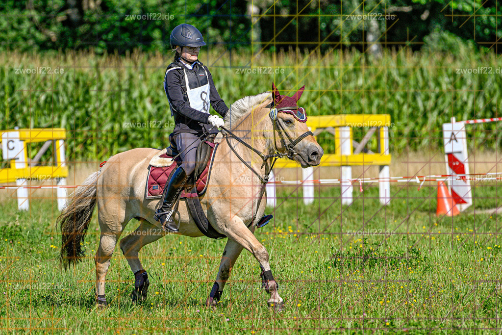 30 Jahre RFV Pulsnitz e.V., Pulsnitz am 09.08.2026 | 30Jahre Reit- und Fahrverein Pulsnitz e.V., Pulsnitz am 08.08.2026, Zur 28. breitensportlichen Veranstaltung des RFV Pulsnitz e.V. fanden verschiedene Wettbewerbe in nahezu allen Disziplinen des Pferdesport statt.- Gelände-Reitwettbewerb für Einsteiger - Realisiert mit Pictrs.com