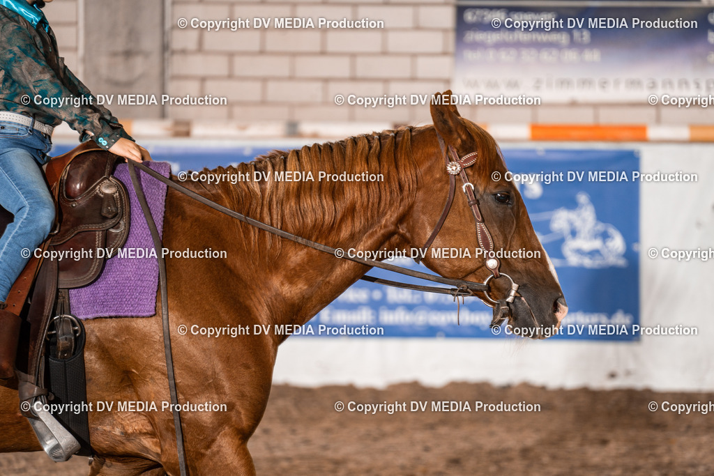 ZH200322 | dv-media-shop - Realisiert mit Pictrs.com