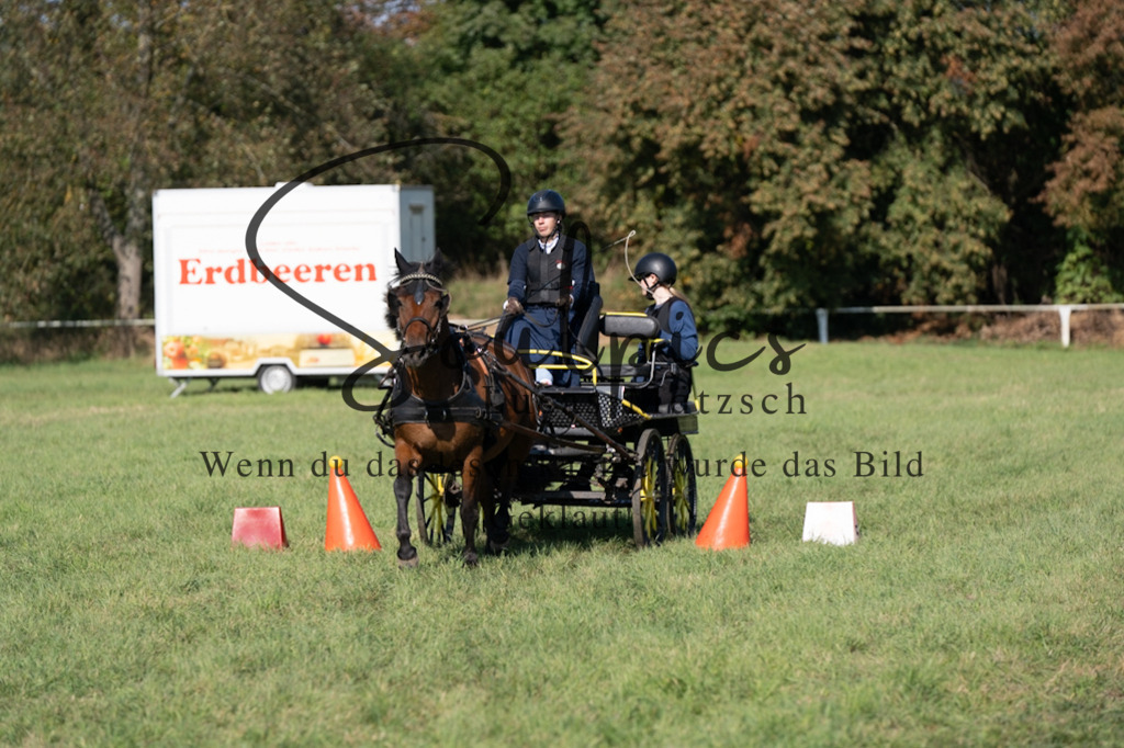 A7V04402 | Pferdefotograf