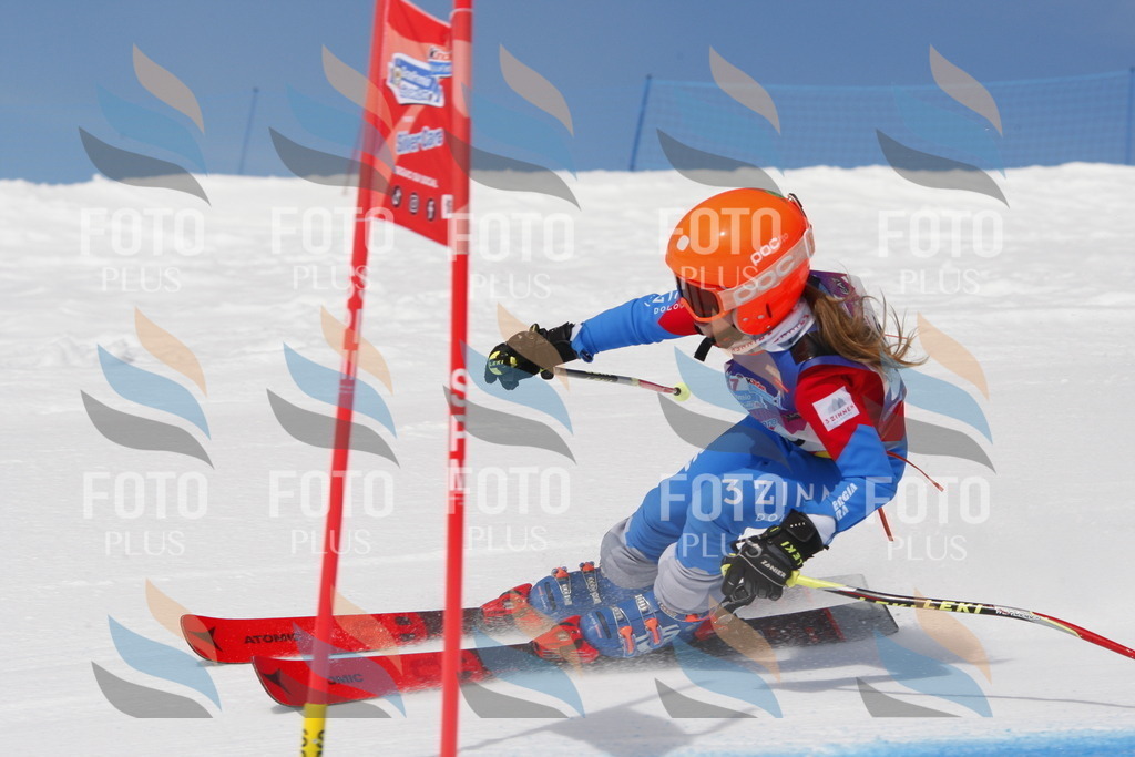 _W1G0488 | holidayphoto