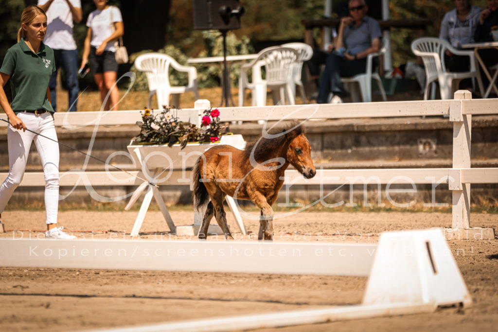 01.DoKR00029 | Leoni Ertmer Photography - Realisiert mit Pictrs.com