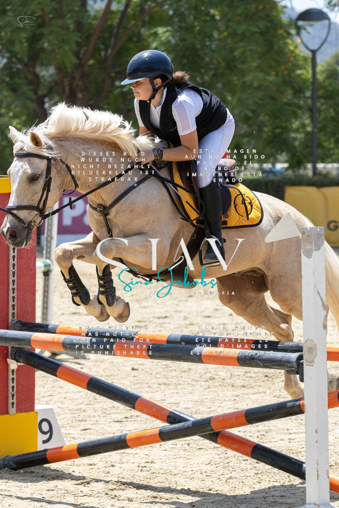 IMG_1181 | s-jay-photography - Realisiert mit Pictrs.com