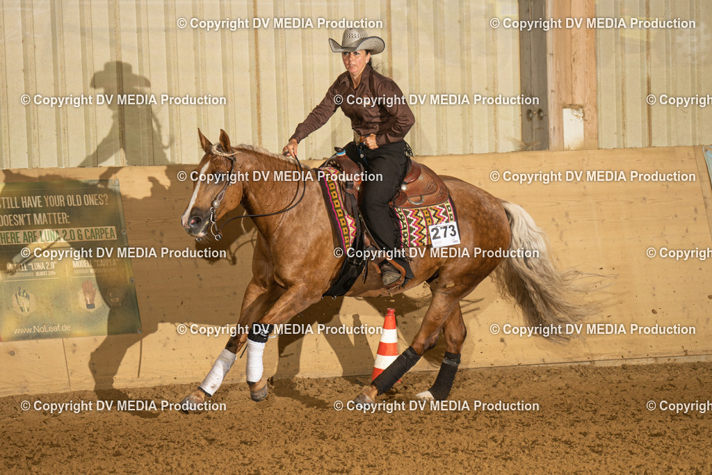 LAU00342 | dv-media-shop - Realisiert mit Pictrs.com