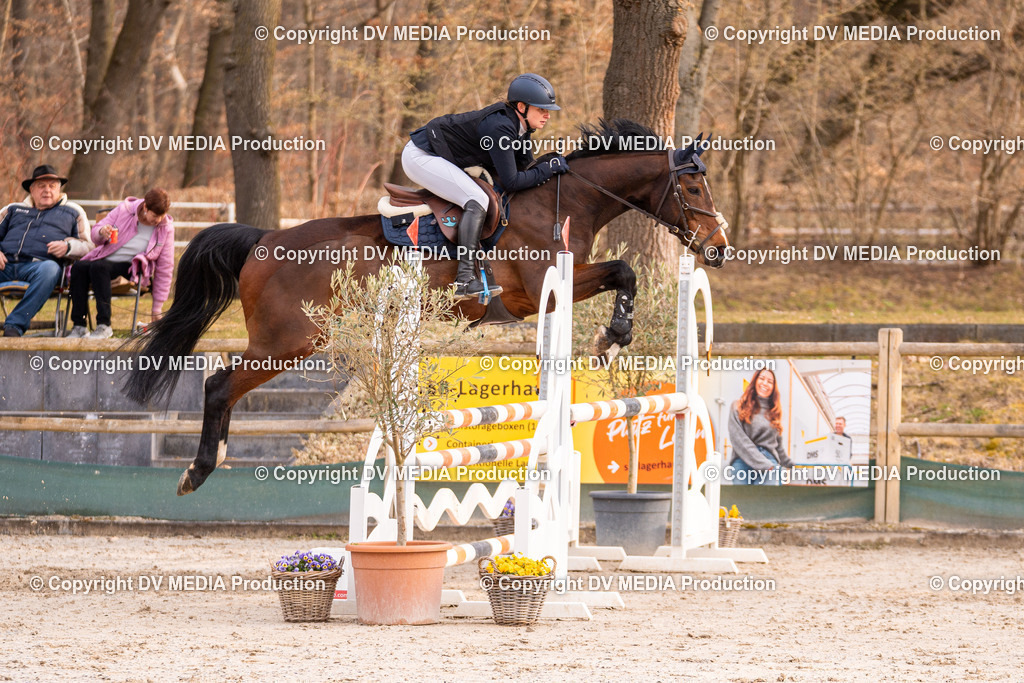 Kranichstein Tag 2-1404 | dv-media-shop - Realisiert mit Pictrs.com