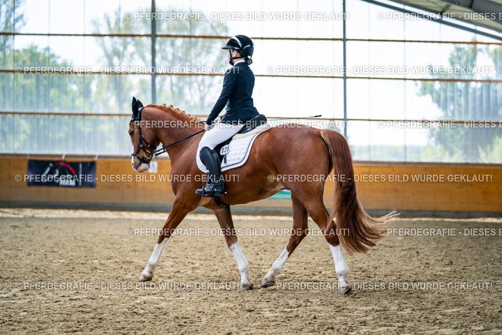 DSC05303 | Pferdegrafie