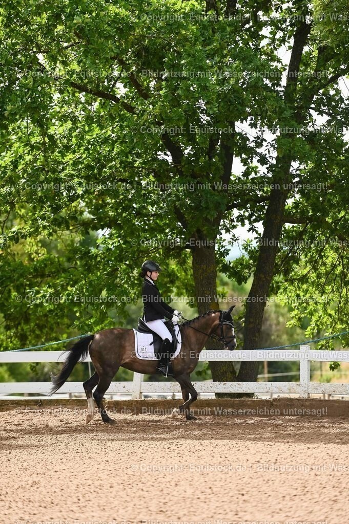 20230716_10-1_Reiter-WB Schritt - Trab - Galopp_0188 | equistock