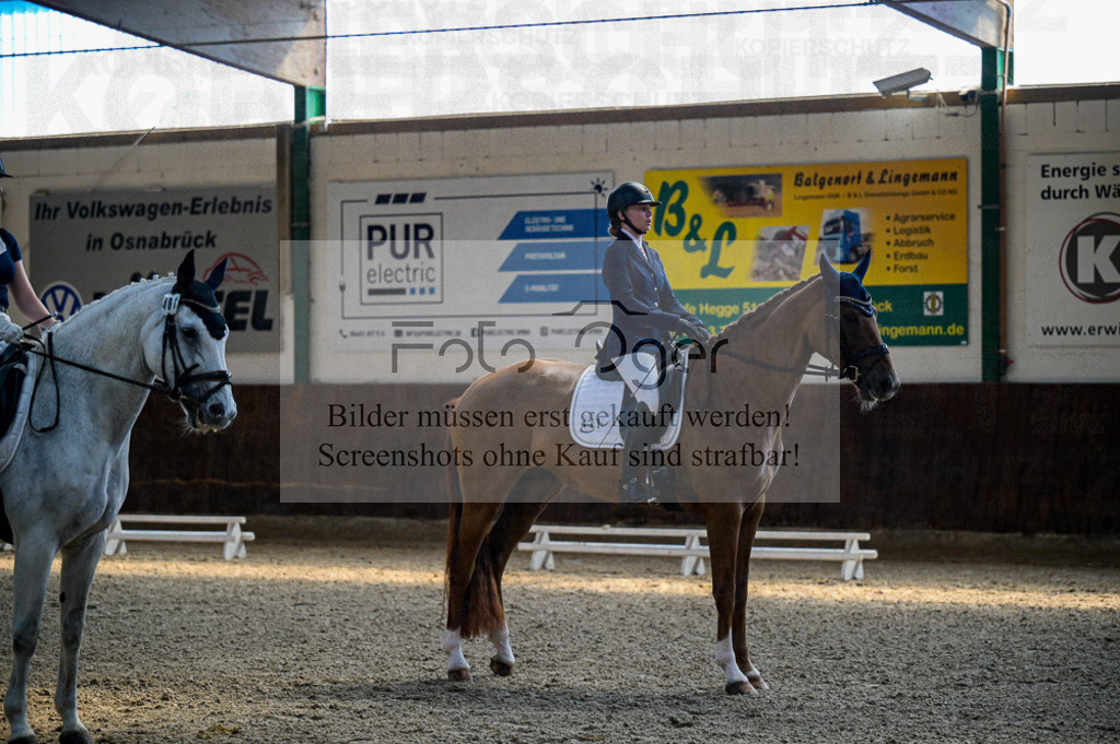 Reitturnier Voxtrup | Entdecke hochwertige Reitturnierfotos von Foto Oger. Professionell, emotional und authentisch – jetzt Lieblingsmomente im Shop bestellen.Deutschlandweite Turnierfotografie. - Realisiert mit Pictrs.com
