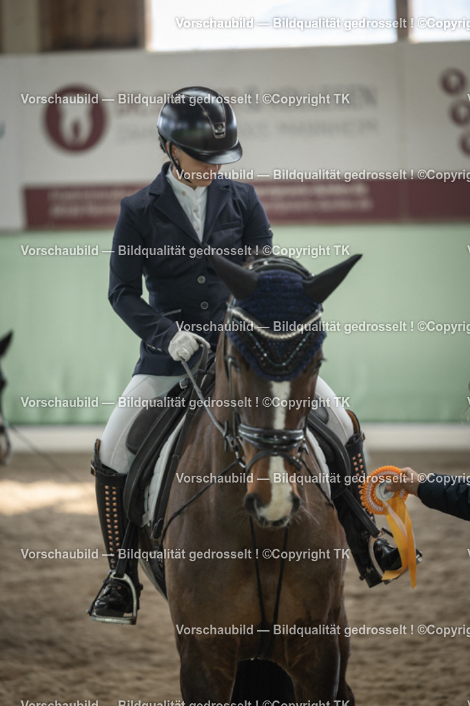 _D5A5830 | Emotionale Pferde- & People-Fotografie rund um Heidelberg, Leimen & Umgebung. Natürliche Fotos von Pferd, Mensch & Familie. Jetzt Termin sichern!