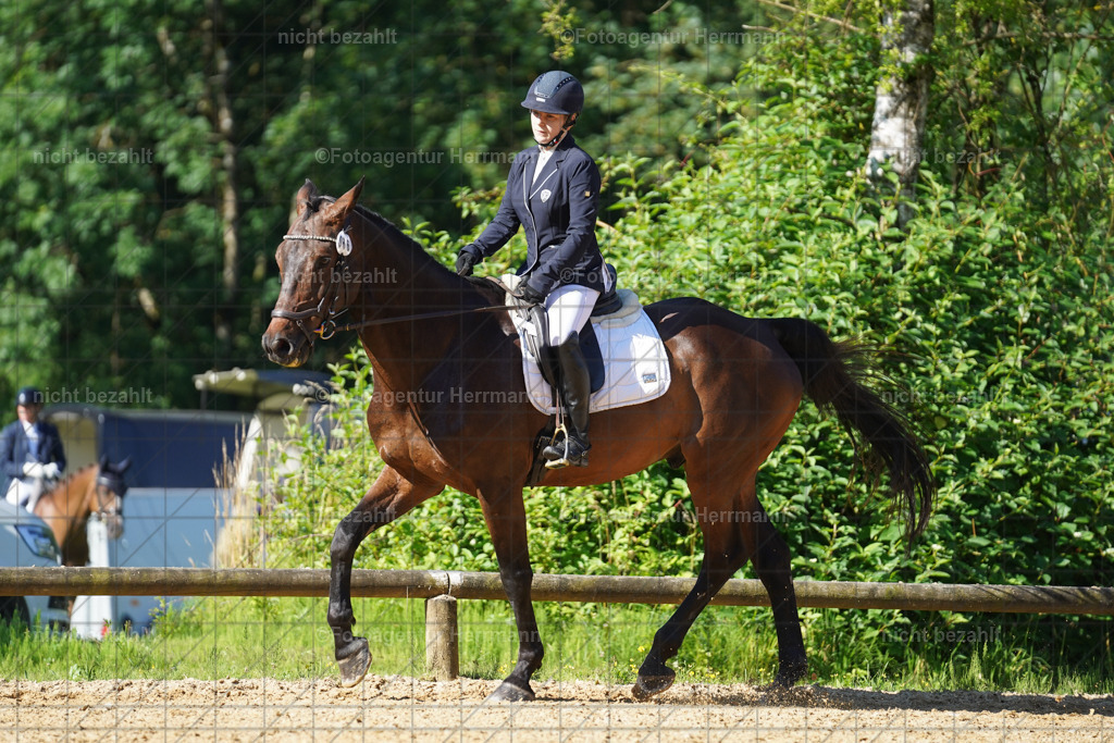 20240706-FAH04491 | Grafing Turnierfotos, Reitverein Ebersberg, Turnierfotografen Bayern, reitsportbilder, Pferdefotograf, reitsportfotograf, Sportbilder, Reitsportfotografie, Fotoagentur Herrmann, Turnierfotograf