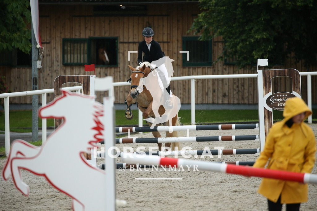 DL2Q0294 | Willkommen bei Brunnmayr - Design & Fotografie – Ihrem Spezialisten für Reitturniere und Pferdeveranstaltungen in Oberösterreich, Salzburg und Bayern! Seit über 17 Jahren sind wir leidenschaftlich dabei.