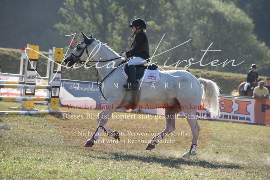 DSC_5715 | Pferde- und Turnierfotografie in Westsachsen. Pferdeportraits, Auftragszeichnungen und intuitive Kunst.