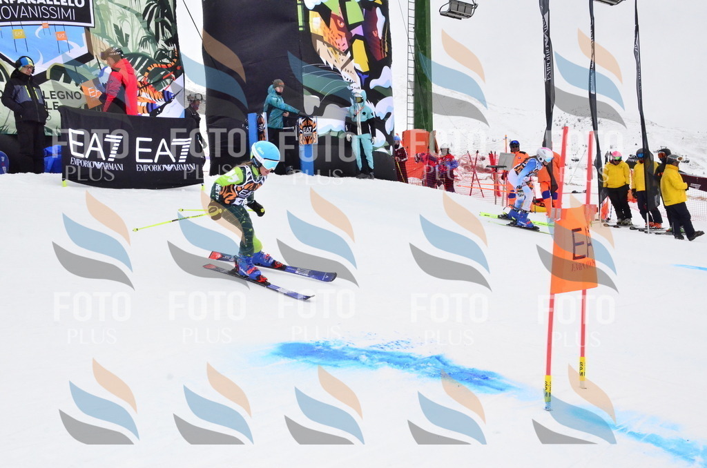 _ELE4026 | holidayphoto