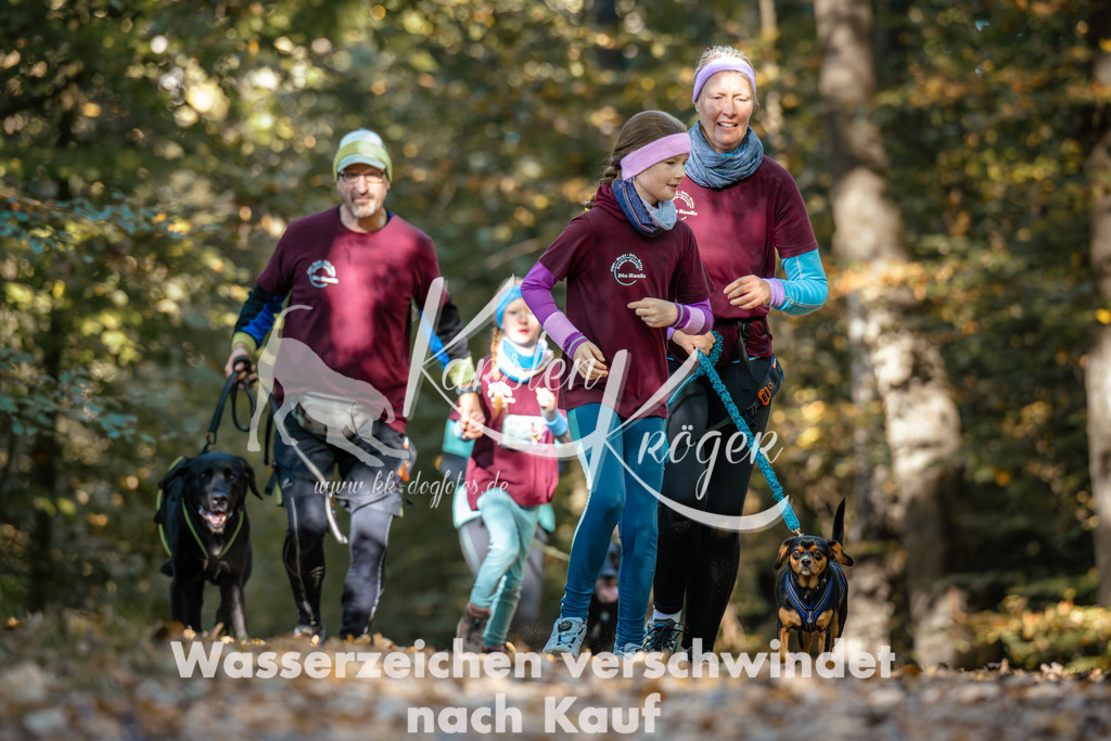 1105_ZZ91595 | kk-dogfotos