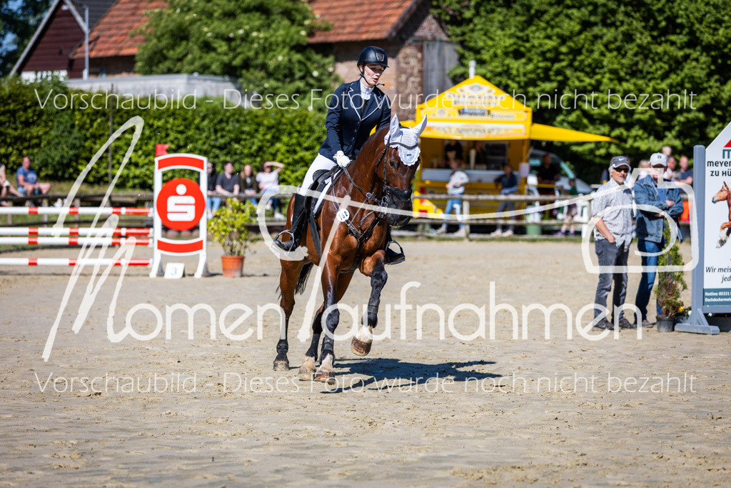 Donop24-A2Spr-146 | MomenTaufnahmen Pferdesportfotos