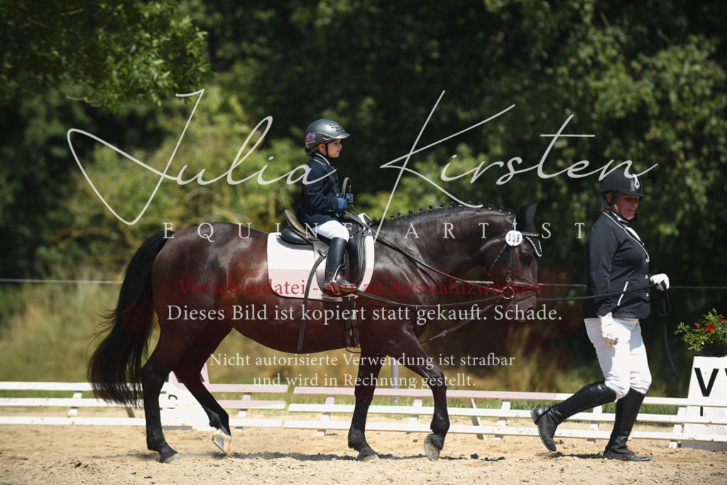 DSC_2050 | Pferde- und Turnierfotografie in Westsachsen. Pferdeportraits, Auftragszeichnungen und intuitive Kunst.