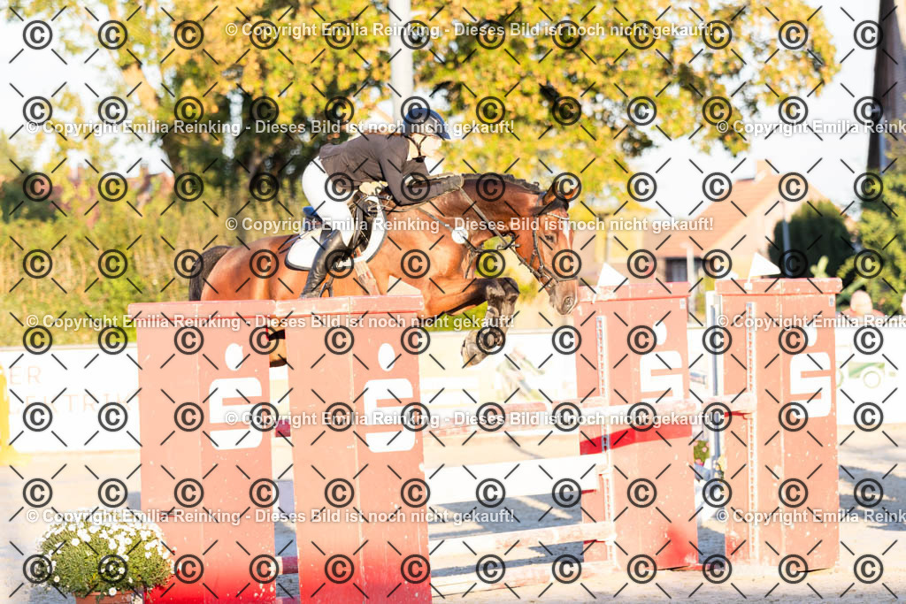 CL5A4501 | Emilia Reinking Fotografie - Realisiert mit Pictrs.com