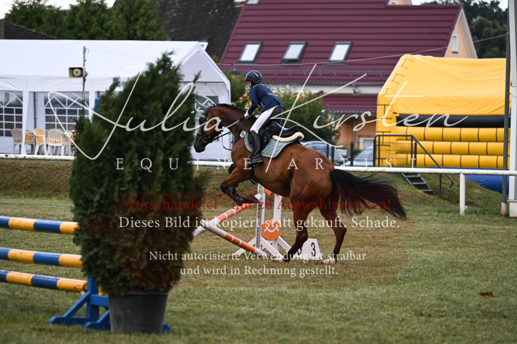 DSC_5676-2 | Pferde- und Turnierfotografie in Westsachsen. Pferdeportraits, Auftragszeichnungen und intuitive Kunst.