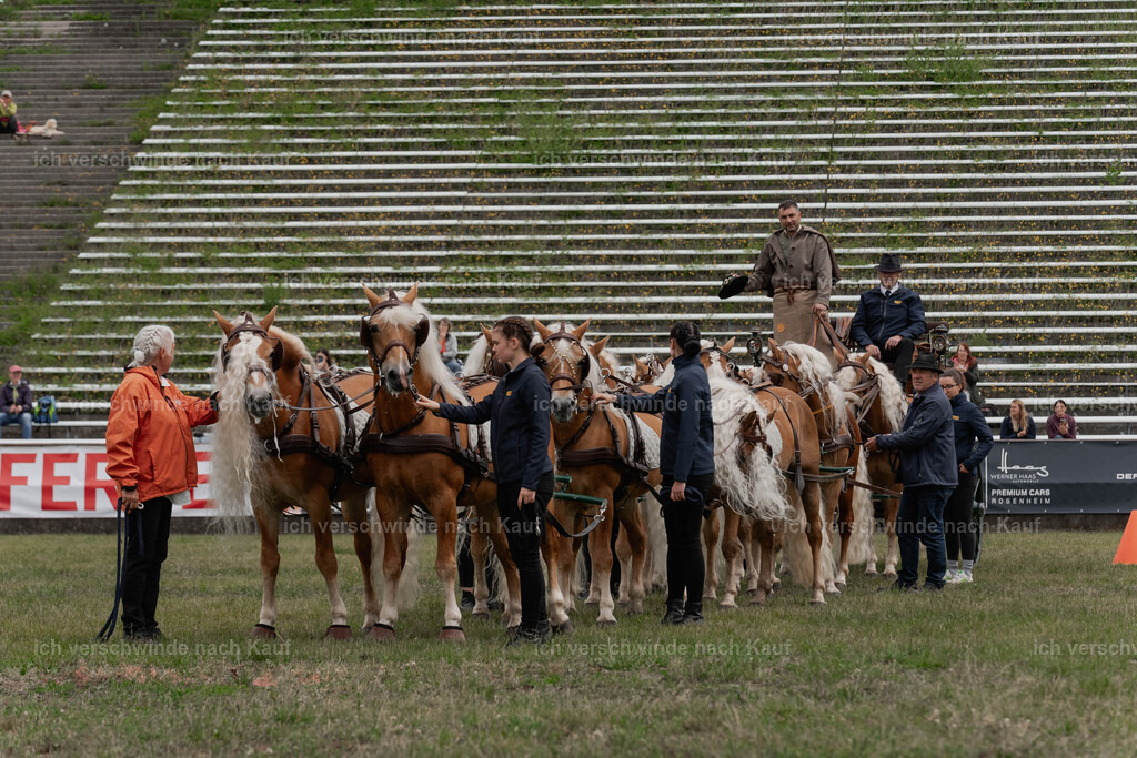 Showprogramm-167 | working equitationturnier fotograf videograf stoibphotography marixx film working equitation deutschland reitsport turnierfotografie eventfotografie equestrian events