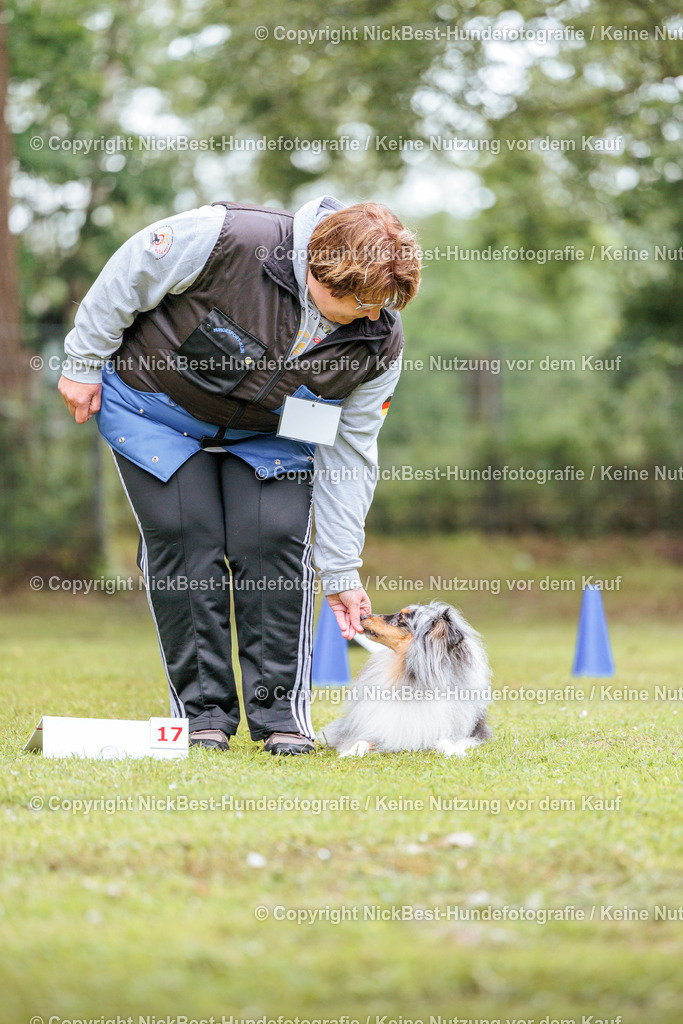 RO-Blumenthal-2026-Nickbest-Hundefotografie-4841 | Dein Hund! Dein Moment! Deine Erinnerungen! Hundefotografie in Bremen Blumenthal. Ich fange die besonderen Momente deines Vierbeiners ein – ob Indoor mit Blitzanlage oder in der freien Natur. Sicher dir dein Moment und dein Termin für eure Erinnerungen.
