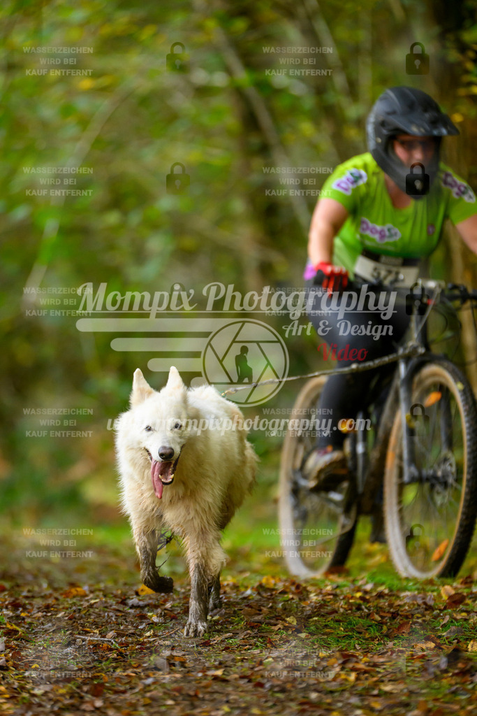 MompixPhotography_20TSB_E1_Bike-80 | PayLife