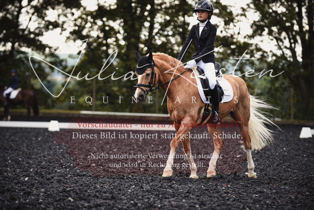 DSC_3833 | Pferde- und Turnierfotografie in Westsachsen. Pferdeportraits, Auftragszeichnungen und intuitive Kunst.