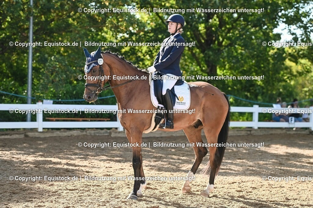 20230715_06_Dressurpferdeprfg. Kl.A_0221 | equistock