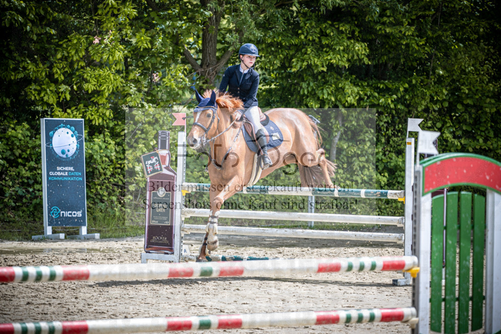 DOS_1828 | Reitturnier Lüdinghausen - Realisiert mit Pictrs.com