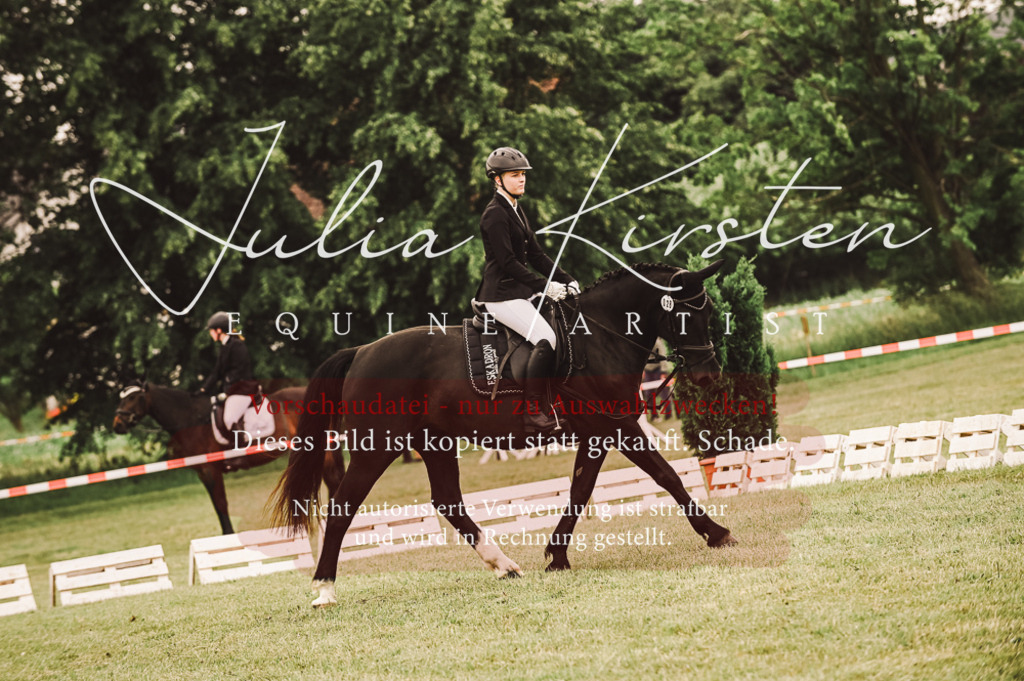 DSC_5076 | Pferde- und Turnierfotografie in Westsachsen. Pferdeportraits, Auftragszeichnungen und intuitive Kunst.