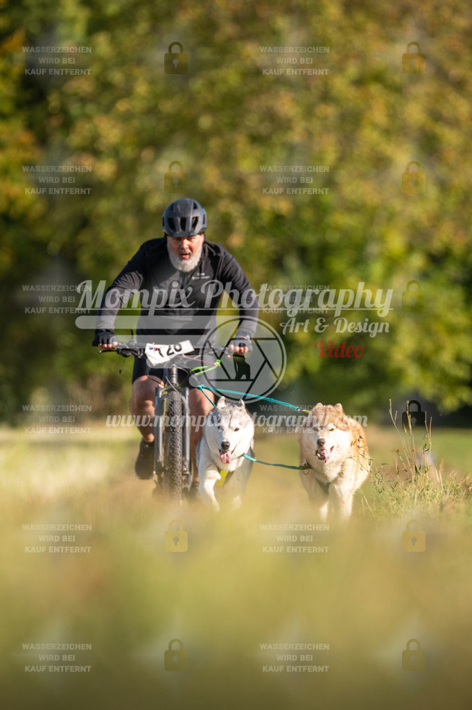 CDLBDB_15_10_2023_Dimanche-335 | mompixphotography