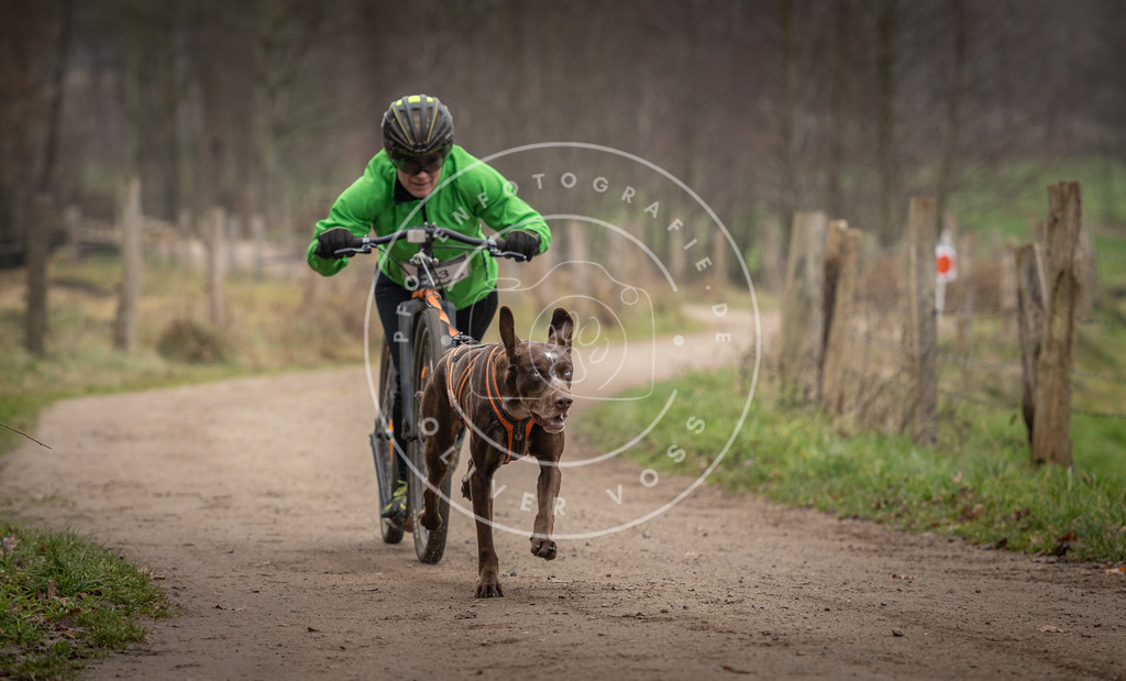 Pfotenfotografie_DV3A2354 | Hundefotografie, Tierfotograf, Pfotenfotografie, Fotoshooting Hund, Hunde Portrait, Hundesport, Hundeportraits, Heideshooting, Hunde, Sportfotograf, Hundefotograf, Turnierhundsport, THS,  - Realisiert mit Pictrs.com