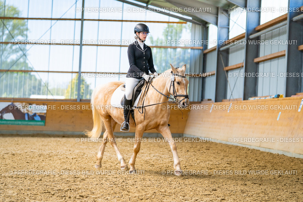 DSC09313 | Pferdegrafie